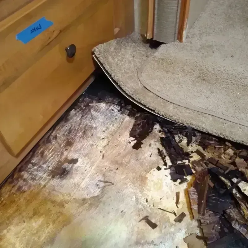 Wood Floor Water Damage in Sullivan, IL